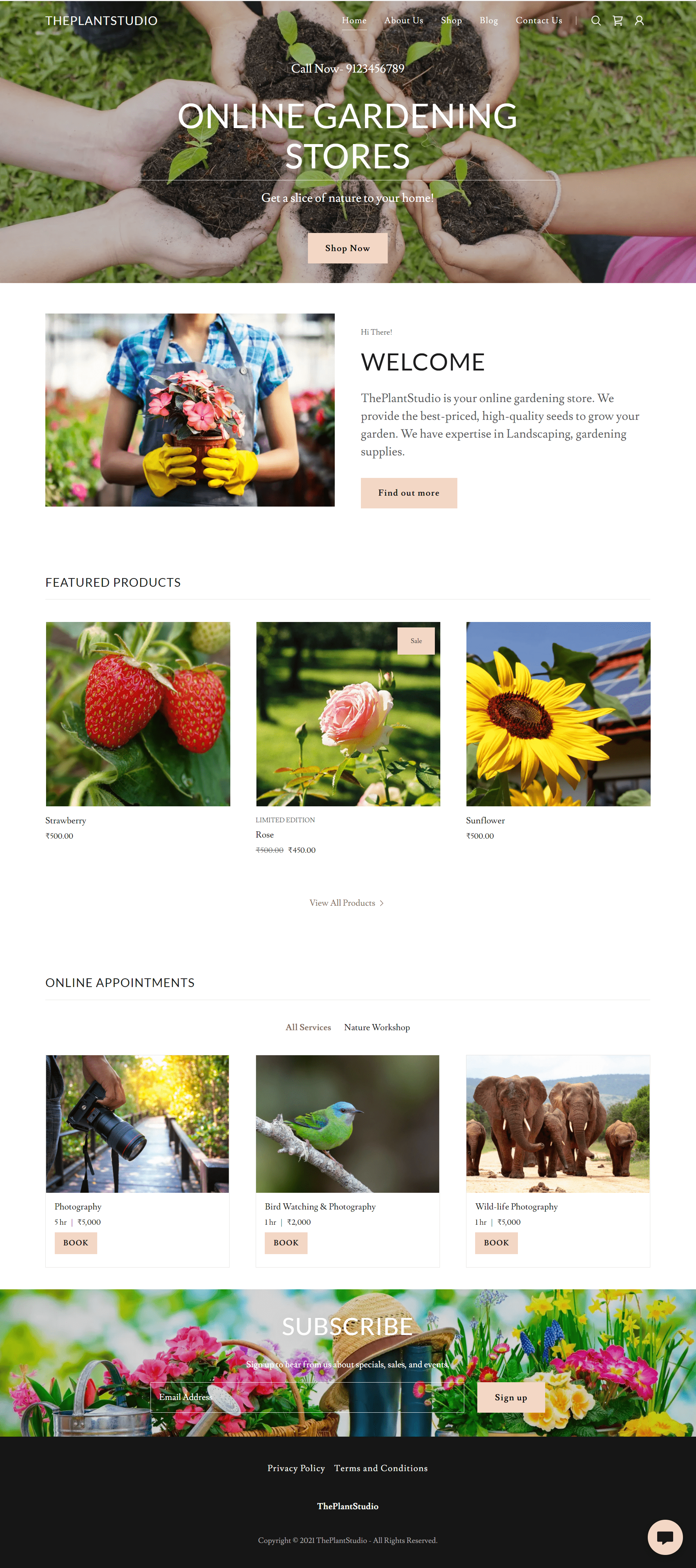 Ecommerce Website Development-Shalini Billar